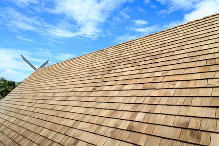 Protect Your Investment: Why Roof Washing Matters Thumbnail